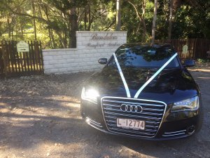 Bundaleer Rainforest Gardens milimo Brisbane limo Car Hire Transfers